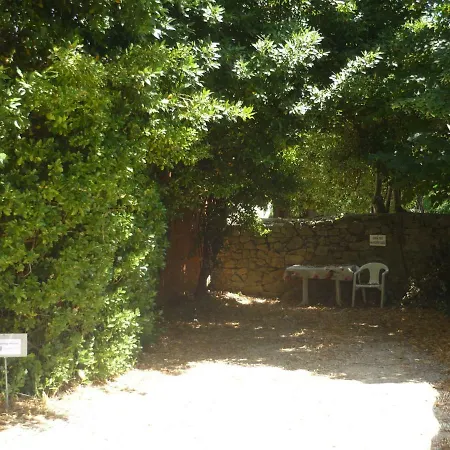 La Des Fleurs Appartement