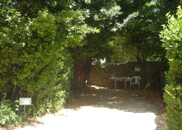 La Des Fleurs Apartament